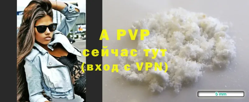 A PVP СК  площадка состав  Полярные Зори 